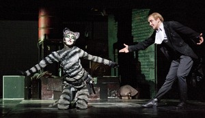 Kater_02_FOTO_PedroMalinowski.jpg