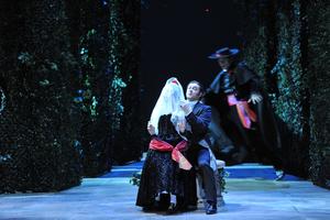 14_Figaro_FOTO_Hans_Joerg_Michel.jpg