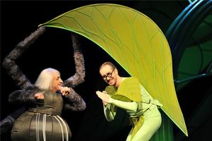 BARBIERE_9_FOTO_HJ_Michel.jpg